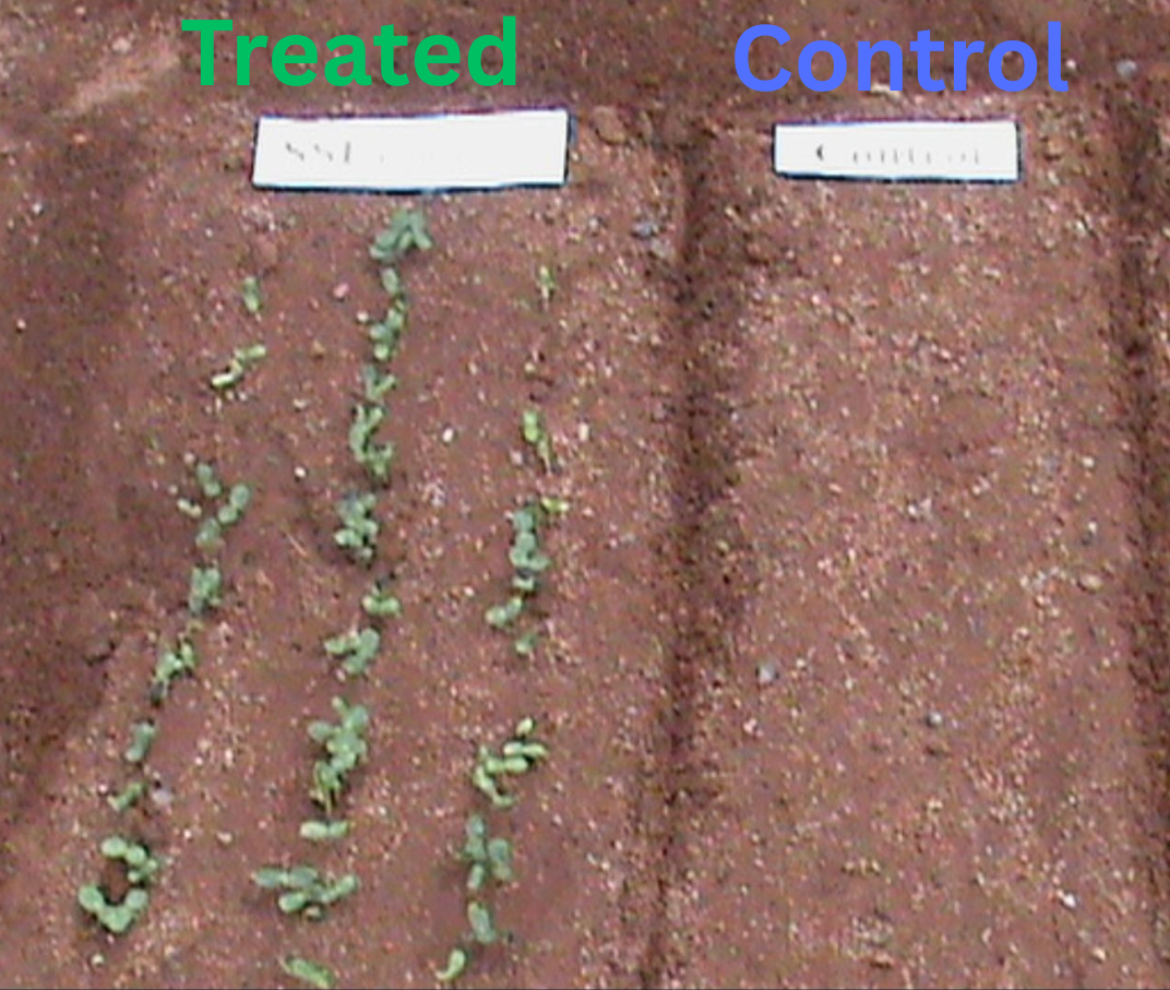 Treated Field