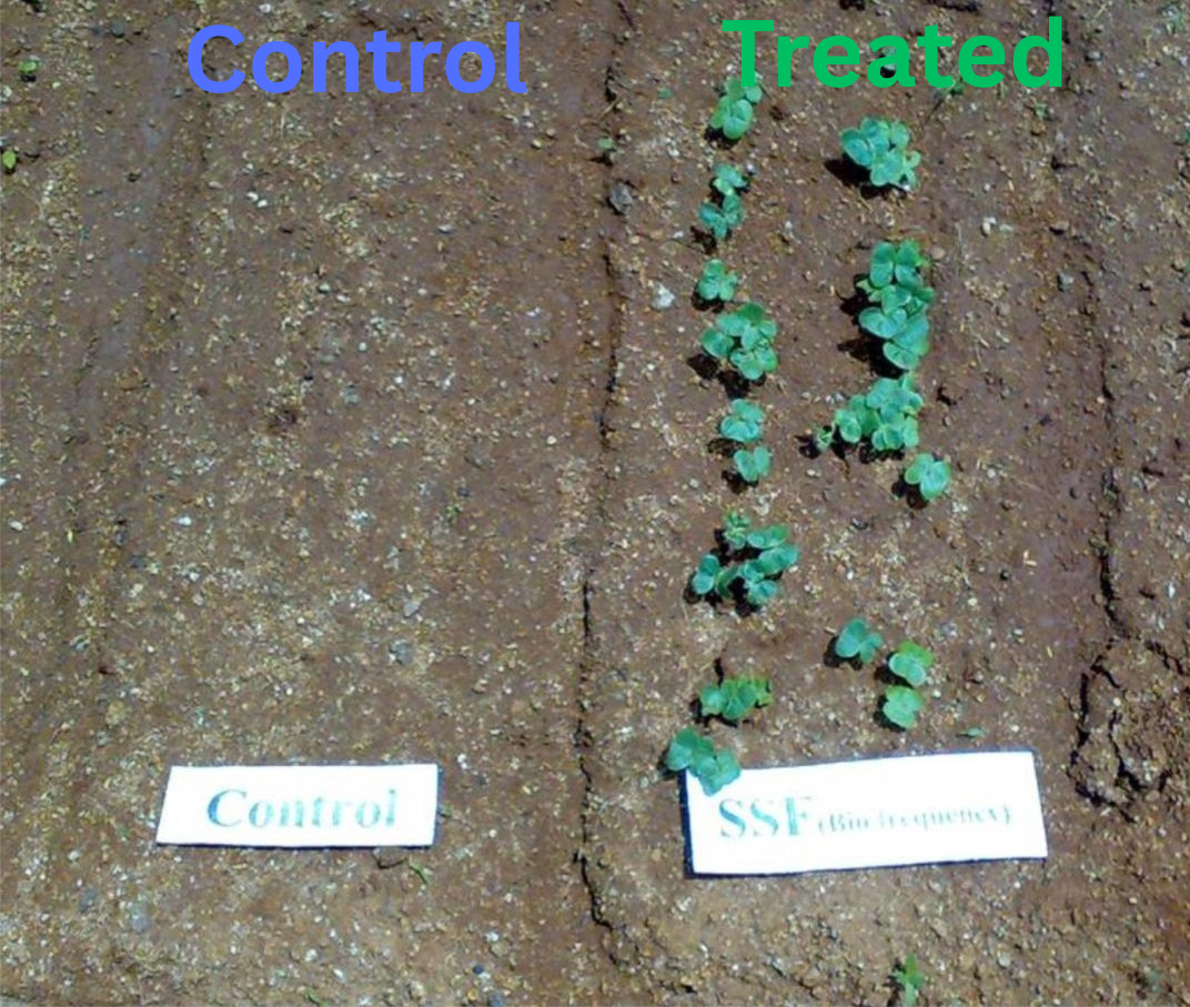 Control Field